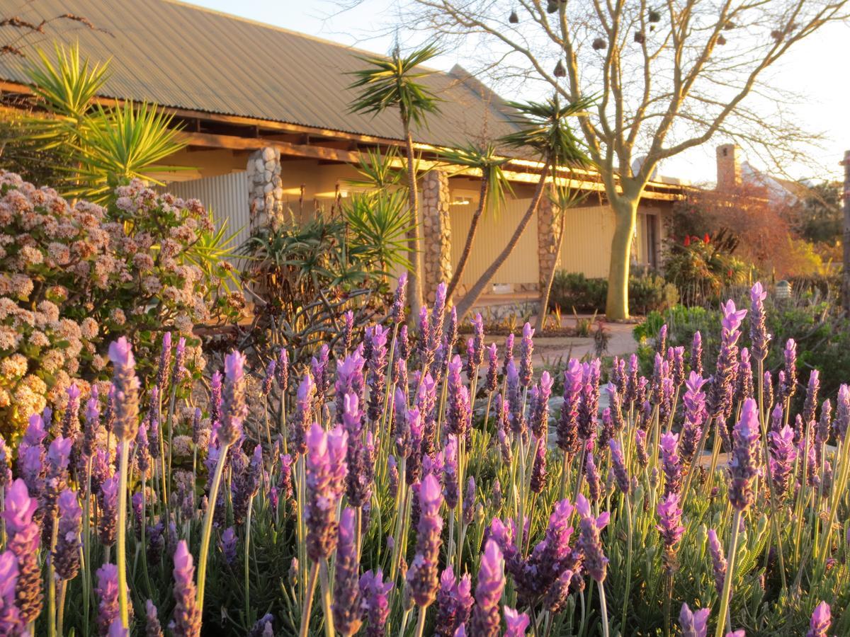 Masada Guest House Langebaan Luaran gambar